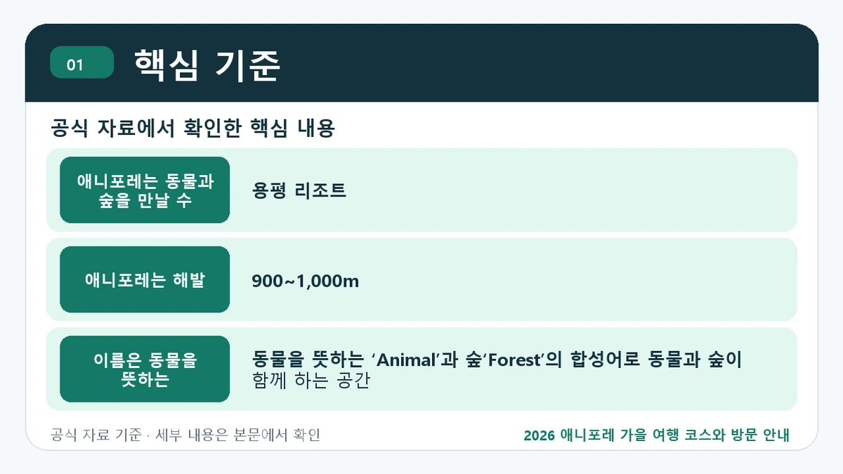 2026 애니포레 가을 여행 코스와 방문 안내 핵심 기준 핵심 정보를 정리한 안내 이미지
